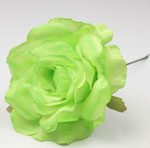 Small Rose Cadiz. 10cm. Pistachio Green VR80 3.802€ #50419165VRDPSTCH80